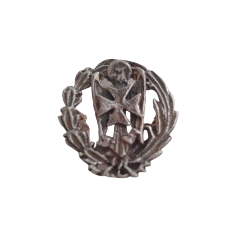 Emblema profesional de A.T.S ( Asistente Técnico Sanitario). Insignia profesional fabricada en plata de primera ley (925 milesim