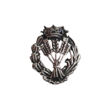 Emblema profesional Ingeniero Agrónomo. Insignia profesional fabricada en plata de primera ley (925 milesimas). Insignia de sola