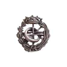 Emblema profesional de Informática. Insignia profesional fabricada en plata de primera ley (925 milesimas). Insignia de solapa, 