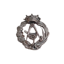 Emblema profesional de Arquitecto. Insignia profesional fabricada en plata de primera ley (925 milesimas). Insignia de solapa, u
