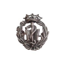 Emblema profesional de Medicina. Insignia profesional fabricada en plata de primera ley (925 milesimas). Insignia de solapa, una