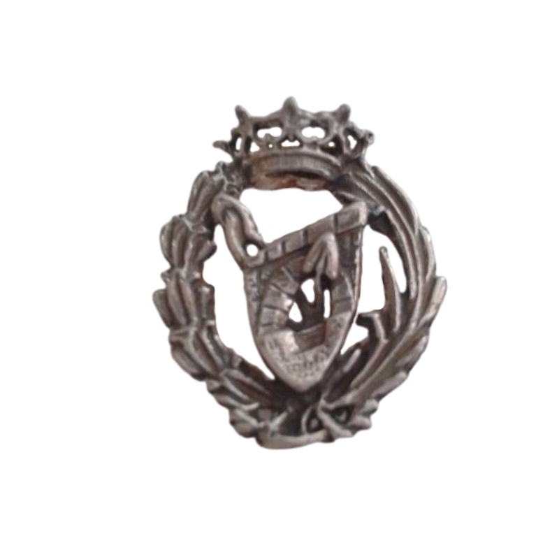 Emblema profesional de Ingeniero de Caminos.Insignia profesional fabricada en plata de primera ley (925 milesimas). Insignia de 