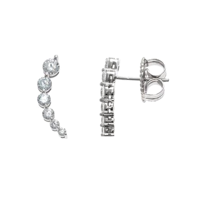 <STRONG>Pendientes trepadores salvatore 136A0305 <BR></STRONG>Pendientes salvatore 136A0305&nbsp;&nbsp; <BR>trepadores salvatore