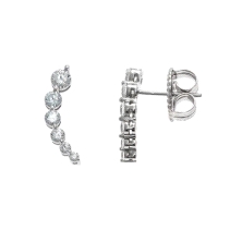 <STRONG>Pendientes trepadores salvatore 136A0305 <BR></STRONG>Pendientes salvatore 136A0305&nbsp;&nbsp; <BR>trepadores salvatore