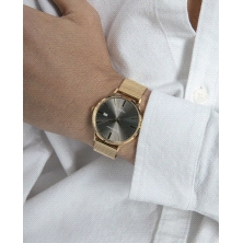 <STRONG>Reloj Viceroy dorado hombre 401497-17</STRONG> <BR><STRONG>Reloj</STRONG> para <STRONG>hombre Viceroy</STRONG> con movim